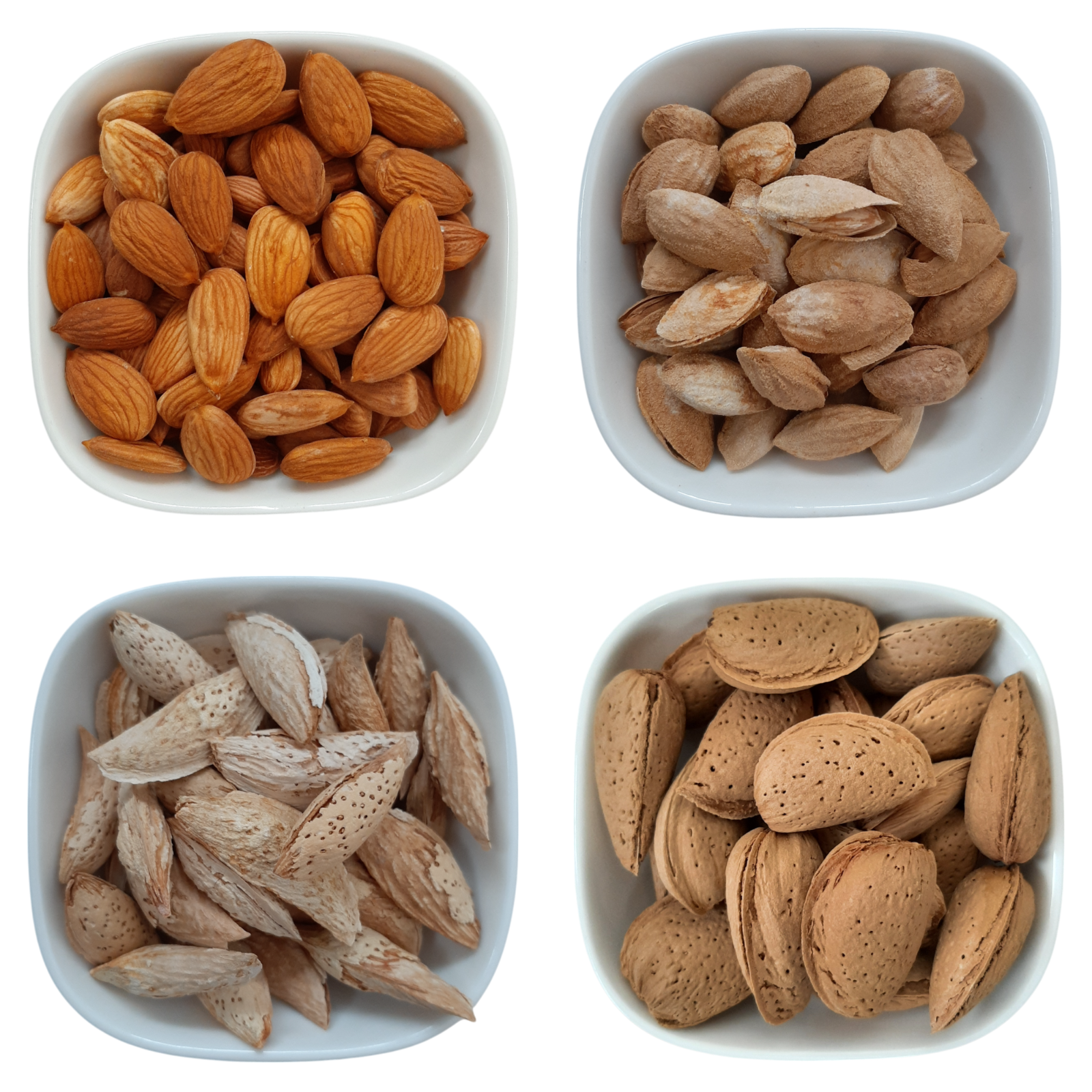 Giant Unshelled Almonds – Natural Organic Premium-quality + Free sample!