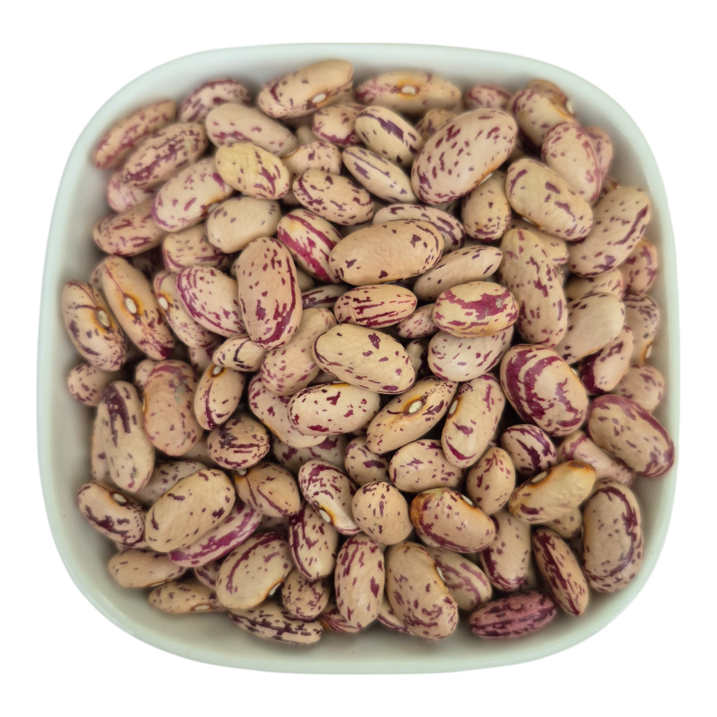 White Kidney Beans – Natural Organic Premium-quality