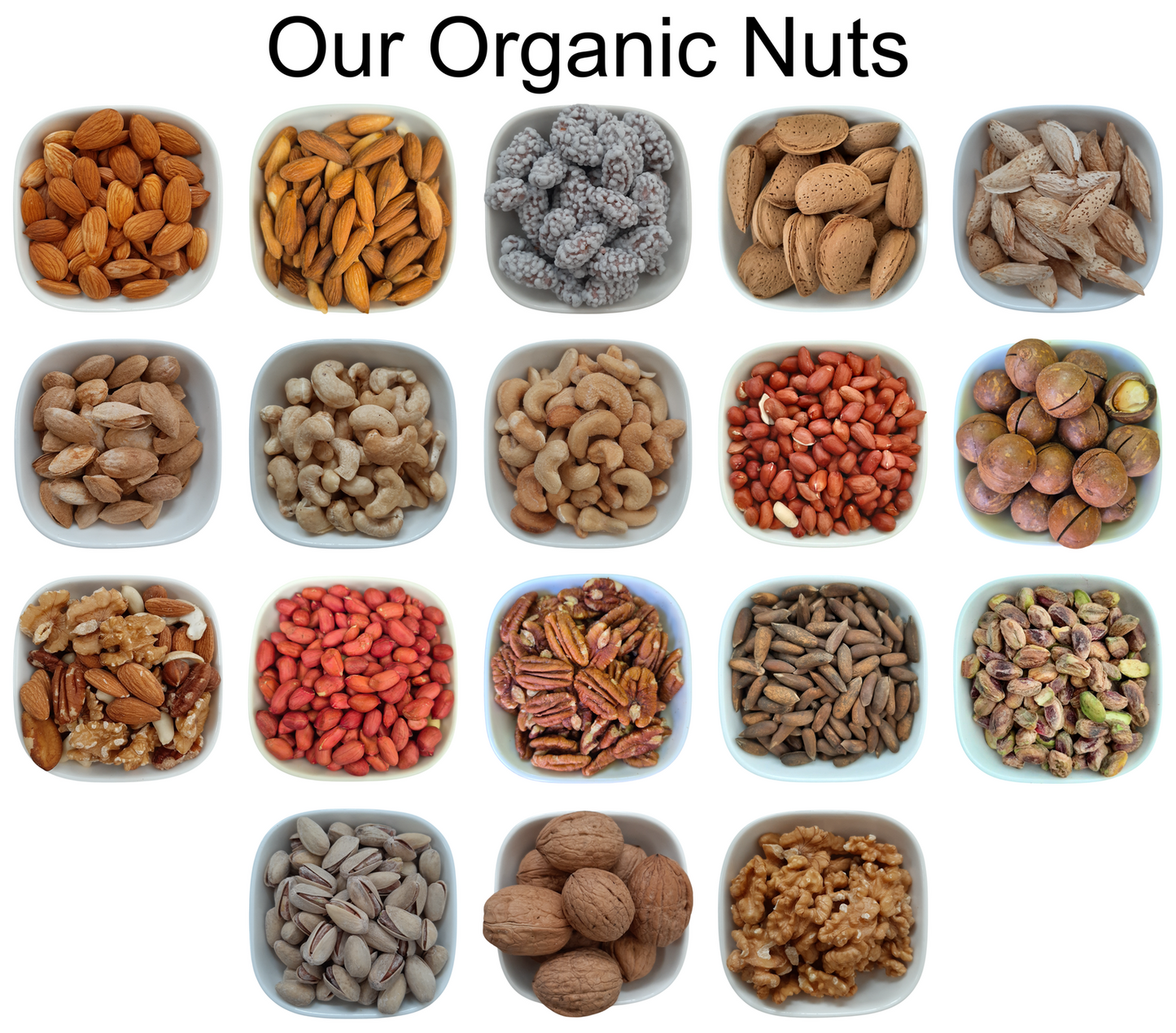 White Kidney Beans – Natural Organic Premium-quality