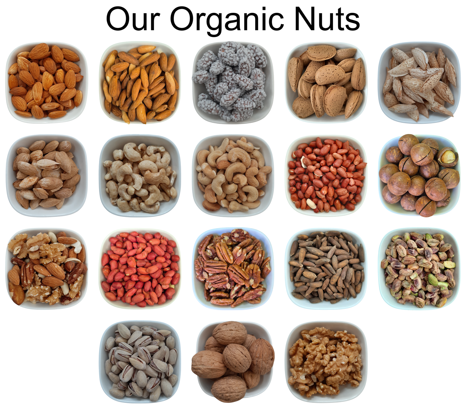 White Kidney Beans – Natural Organic Premium-quality