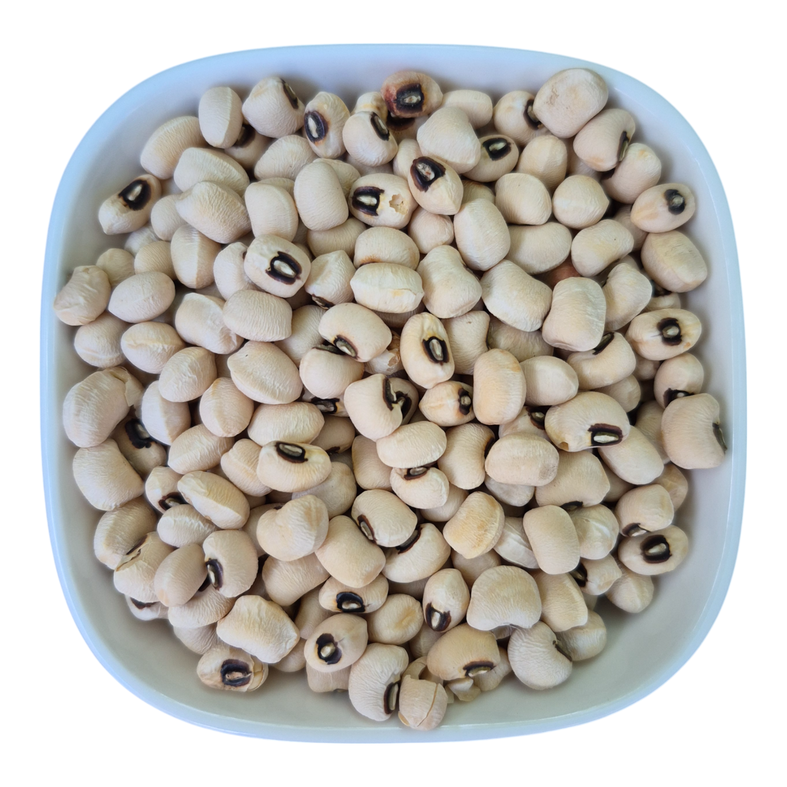 Beans Red, White, Black-eyed, Mung – Natural Organic Premium-quality