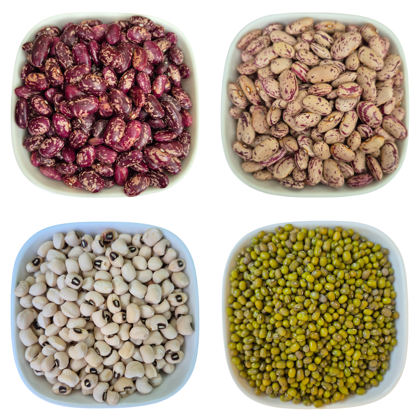 Beans Red, White, Black-eyed, Mung – Natural Organic Premium-quality